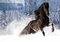 картинка Новый год лошади счастье